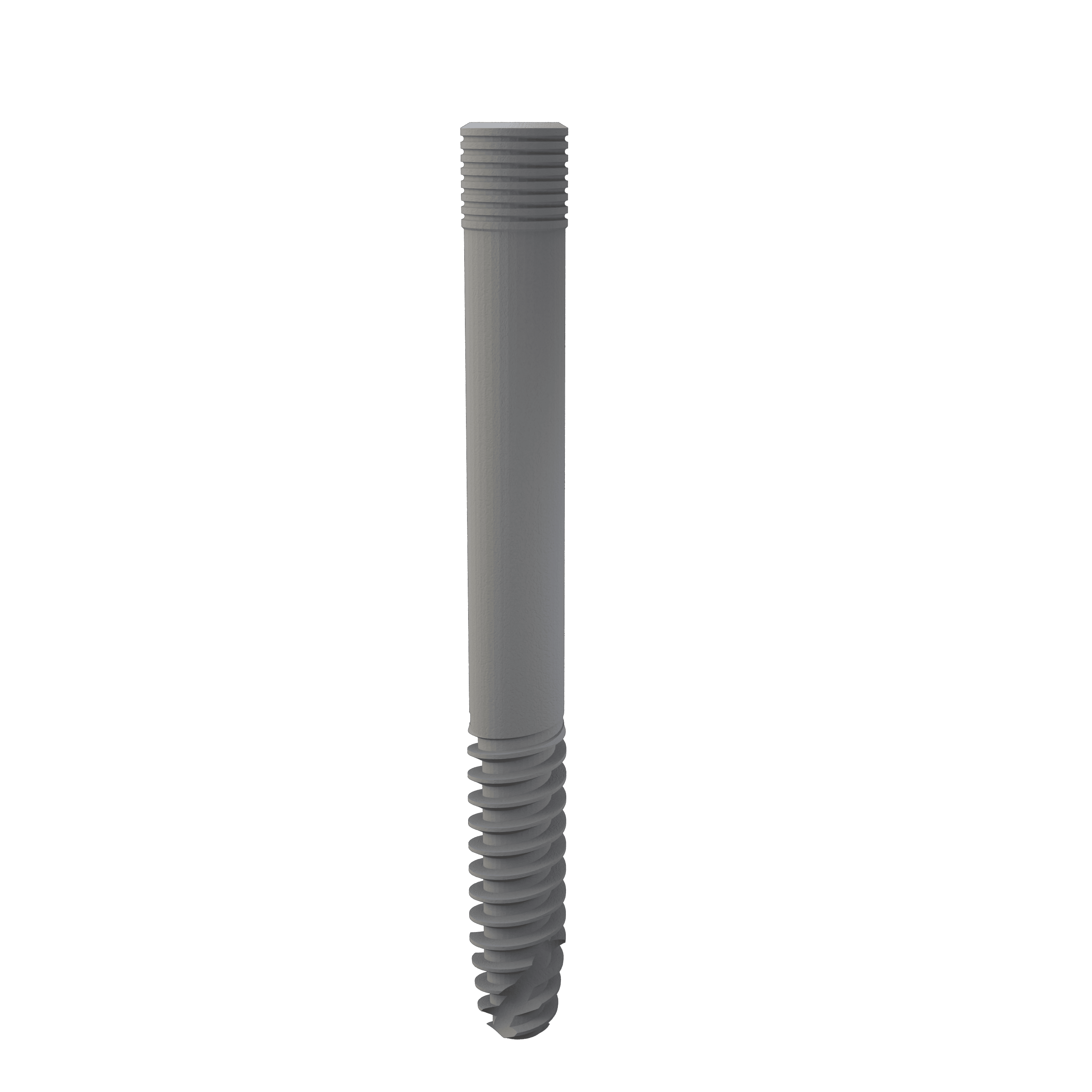 Implant 3