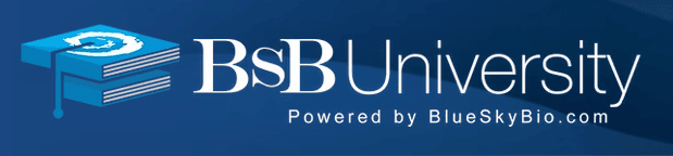 BSB University Logo